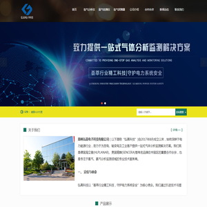 氢气分析仪