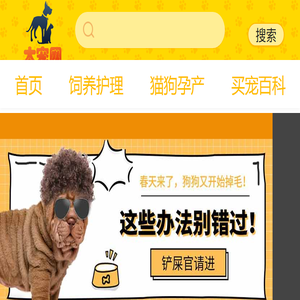 宠物狗,宠物猫,宠物知识大全