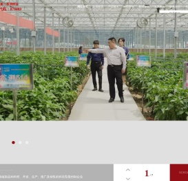 江苏苏润种业股份有限公司