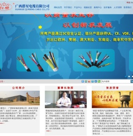 广西群星电缆有限公司