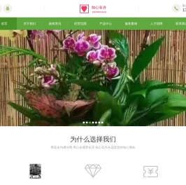 知心花卉