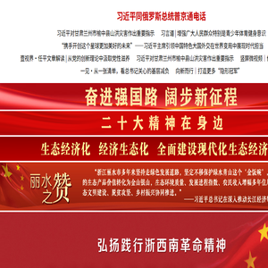丽水网