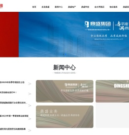 广西鼎盛集团鼎融投资有限公司