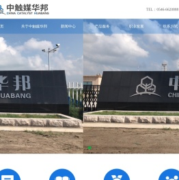 中触媒华邦(东营)有限公司