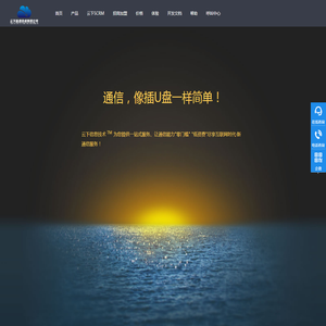 云下信息技术