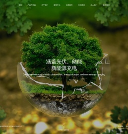 青岛芋头高科新能源