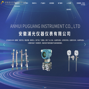 安徽浦光仪器仪表有限公司