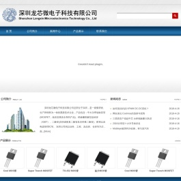深圳龙芯微电子科技有限公司