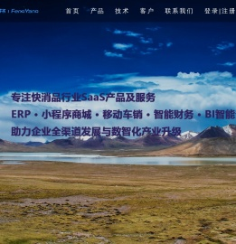 北京丰扬信息技术有限公司