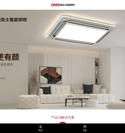 中山市澳克士智能照明有限公司