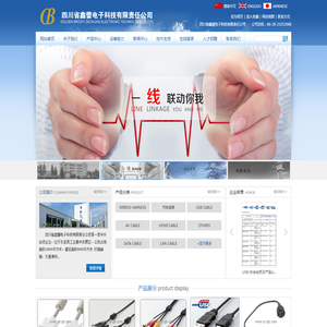 四川省鑫蕾电子科技有限责任公司