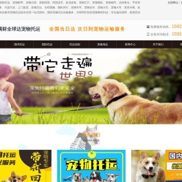 国内国际宠物托运
