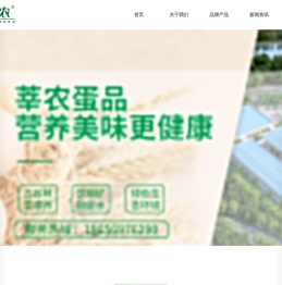 合肥莘农农副产品有限公司