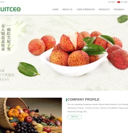 Fruitceo(纳斯勒)