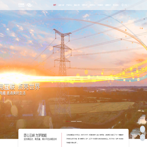 重庆三峡电缆(集团)有限公司