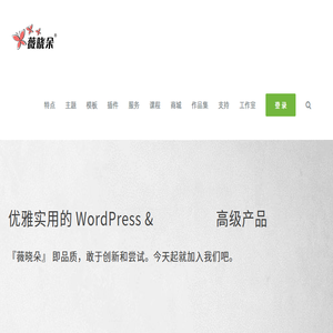 薇晓朵网络工作室