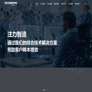 专业的技术人才解决方案