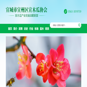 宣城市宣州区宣木瓜协会