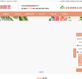 合肥办公室绿植租赁