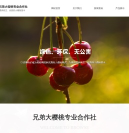 烟台大樱桃,烟台大樱桃树苗,烟台大樱桃苗木合作社,烟台兄弟大樱桃专业合作社