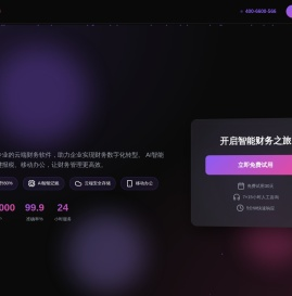 智能财务软件解决方案