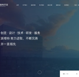 重庆派维特软件开发