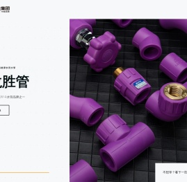 上海龙胜实业有限公司