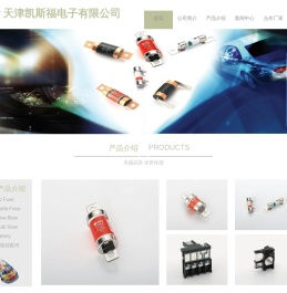 天津凯斯福电子有限公司