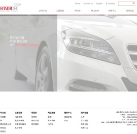 威海爱思特传感技术有限公司