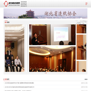 湖北造纸信息网