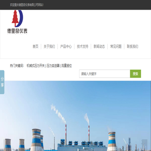 重庆德里奇仪表有限公司