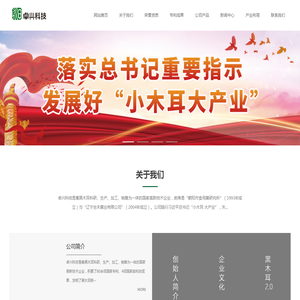 大连卓兴科技发展有限公司