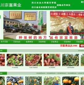 成都天府新区宗富水果种植专业合作社