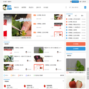 给力草莓网