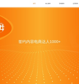 品牌一站式营销服务