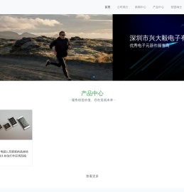 深圳市兴大毅电子有限公司