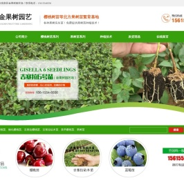 吉塞拉,樱桃苗,吉塞拉樱桃,吉塞拉砧木,桃树苗,吉塞拉樱桃苗,吉塞拉小苗,矮化樱桃苗,山东樱桃苗