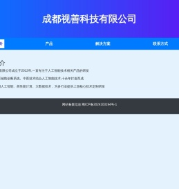成都视善科技有限公司