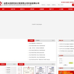 合肥水泥研究设计院（中亚监理公司）