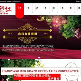 冰葡萄酒,纯正冰葡萄酒,原汁冰葡萄酒,清原满族自治县向阳红葡萄种植专业合作社