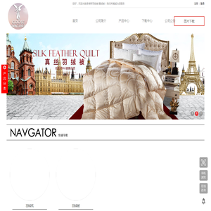 李维斯羽绒被/鹅绒被