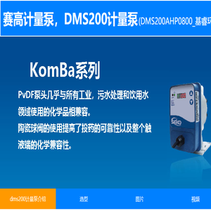 SEKO赛高dms200计量泵