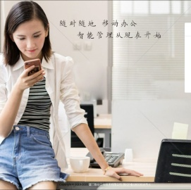 隆创云端服装ERP