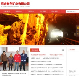 招金有色矿业有限公司