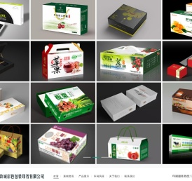 成都包装厂