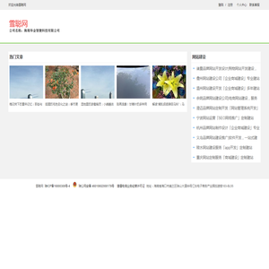 【雪聪网】全国城市分类信息管理平台