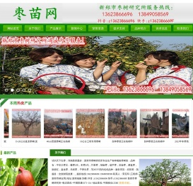 蟠枣苗,冬枣苗,蟠枣2代,芒果枣,大枣王,葫芦枣,苶壶枣,磨盘枣,龙须枣树,冬枣2代,大枣树,枣树苗,冬枣3代,枣树嫁接苗,新郑市枣树研究所专业生产