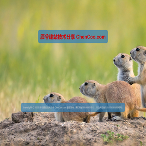 辰兮建站技术分享