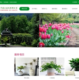 网红南京绿植租赁