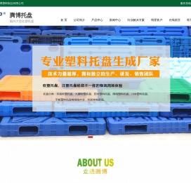 吹塑托盘